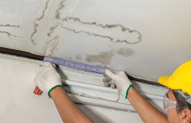 Reliable Water Damage Repair contractor in Augusta, NJ by Hirex Water Damage